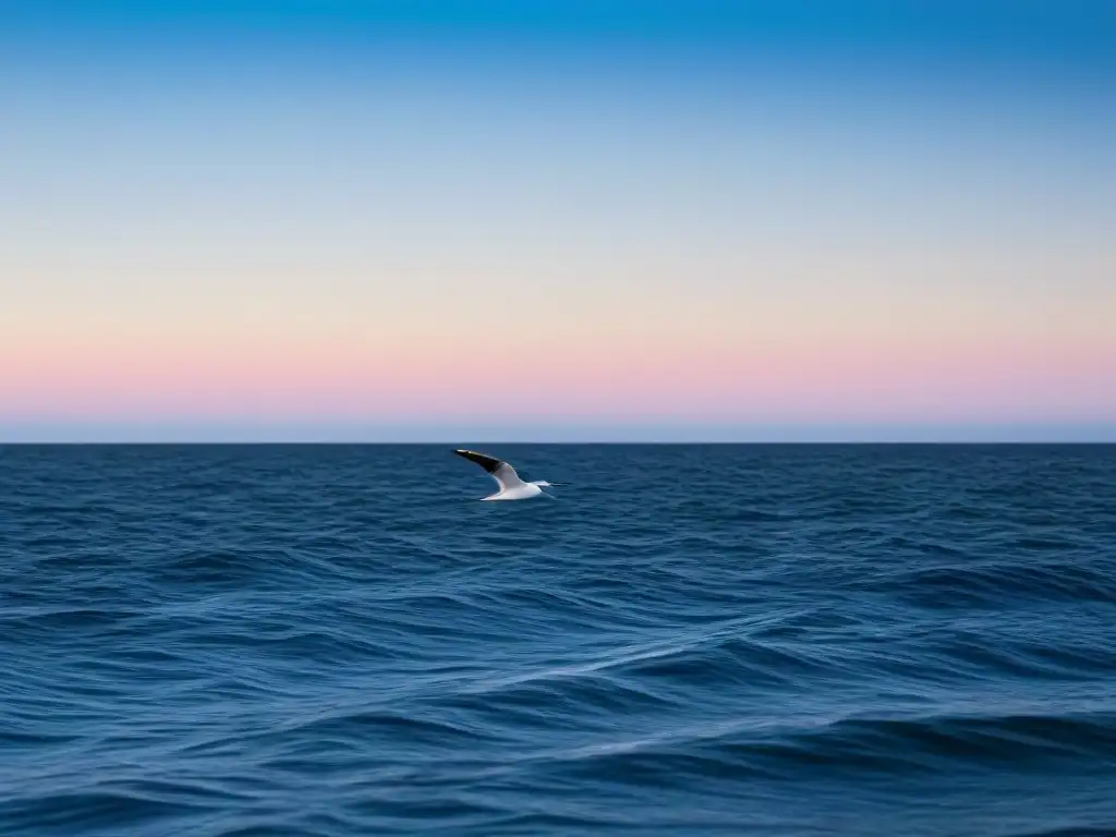 Un amanecer tranquilo en el océano con aguas calmas, cielo azul y una gaviota