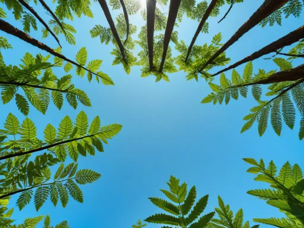 Un bosque verde exuberante bajo un cielo azul claro, transmitiendo paz y armonía