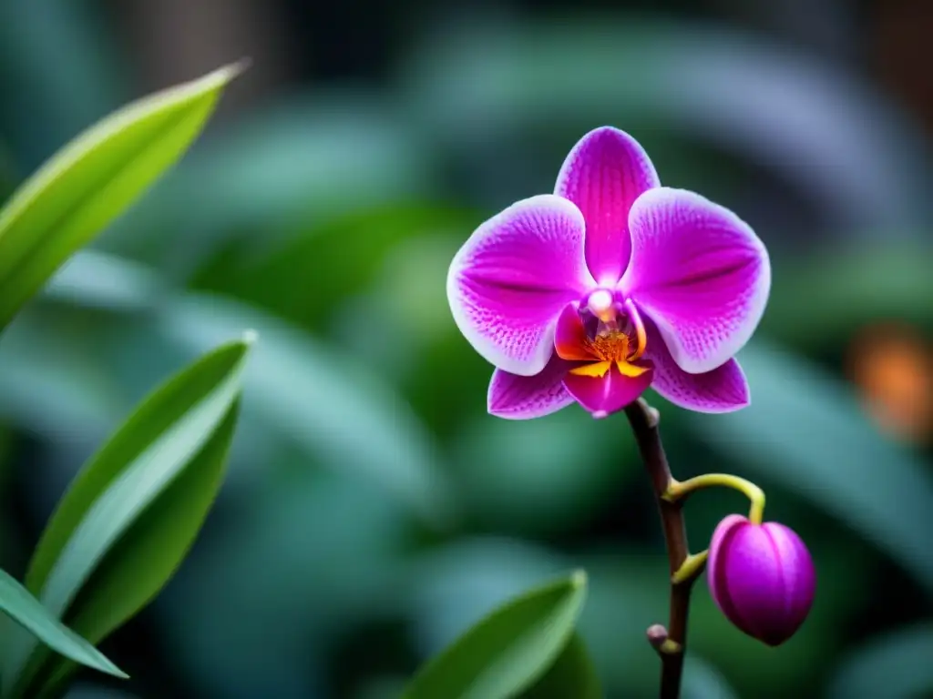 Detallada imagen de una delicada orquídea, resaltando su belleza y la importancia de la biodiversidad para un futuro sostenible