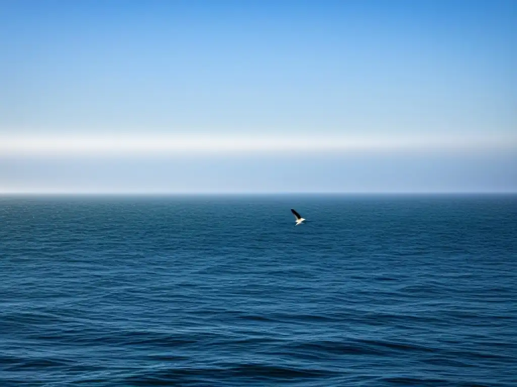 Un solitario gaviota surca el vasto océano bajo un cielo azul, reflejando paz y armonía